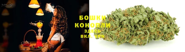 2c-b Лагань